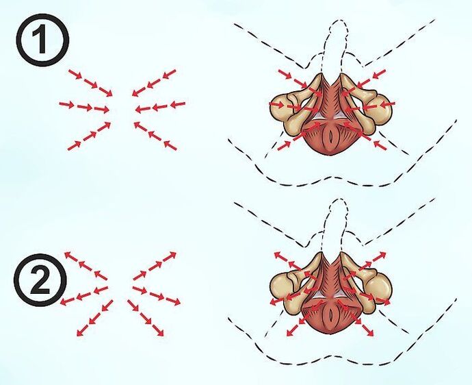 Erkeklerde penis büyütme için Kegel egzersizleri